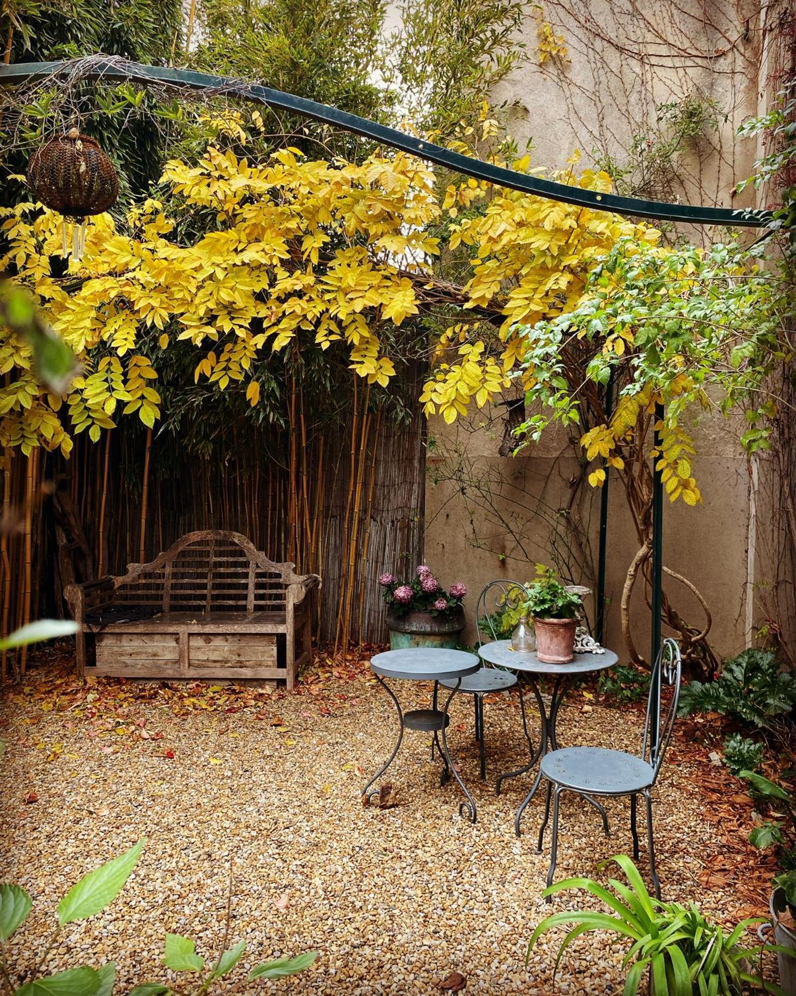 Le Logis Blanc Bed&Breakfast Coursan Kültér fotó