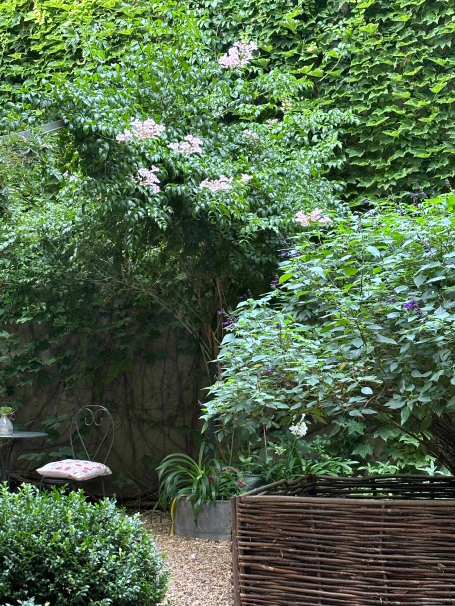 Le Logis Blanc Bed&Breakfast Coursan Kültér fotó