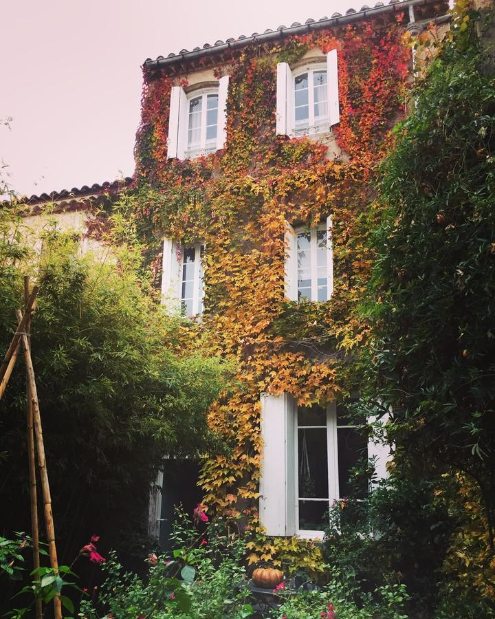 Le Logis Blanc Bed&Breakfast Coursan Kültér fotó